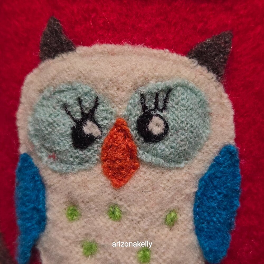 NIB Haflinger Wool Slippers Mr. & Mrs Owl Olivia Slippers 36 PRICE FIRM Bird - Picture 9 of 13